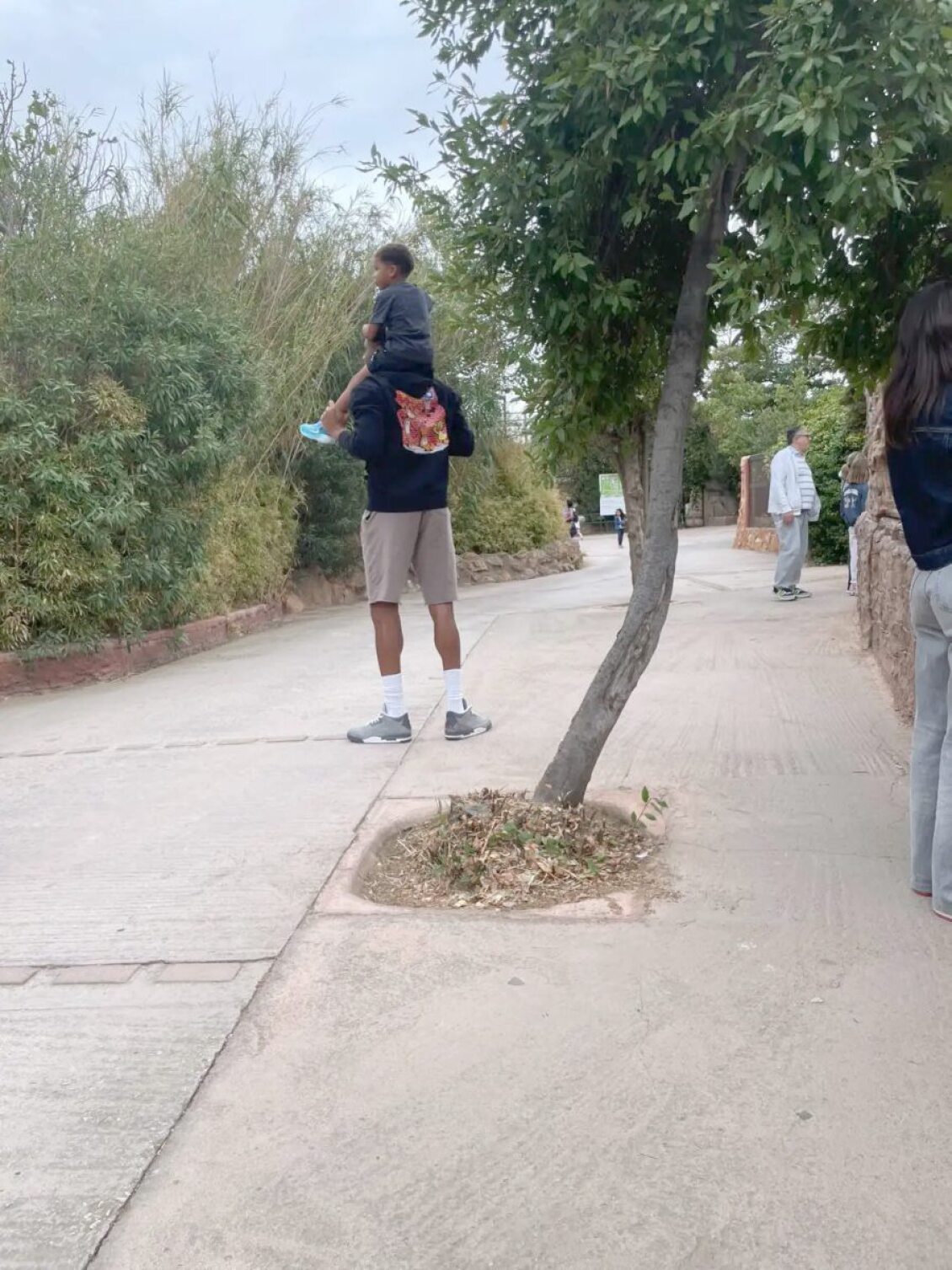 Γιάννης Αντετοκούνμπο: Ο 