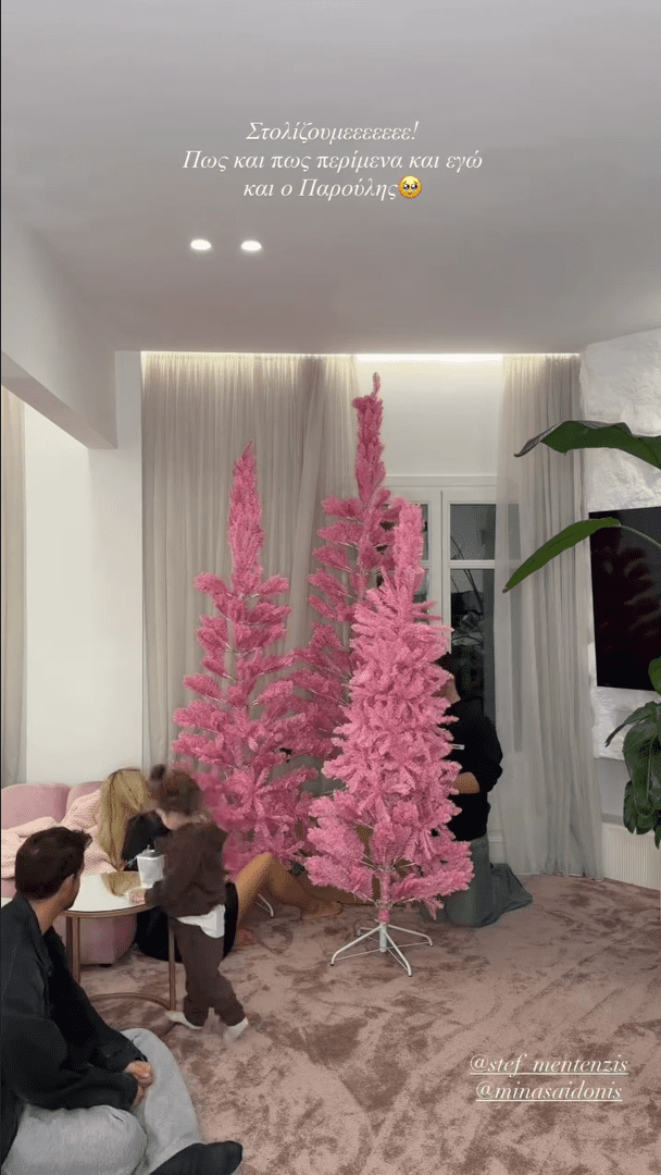 Η Ιωάννα Τούνη παρουσίασε τον ροζ χριστουγεννιάτικο στολισμό του σπιτιού της στη Θεσσαλονίκη με τη βοήθεια του γιου της και φίλων.