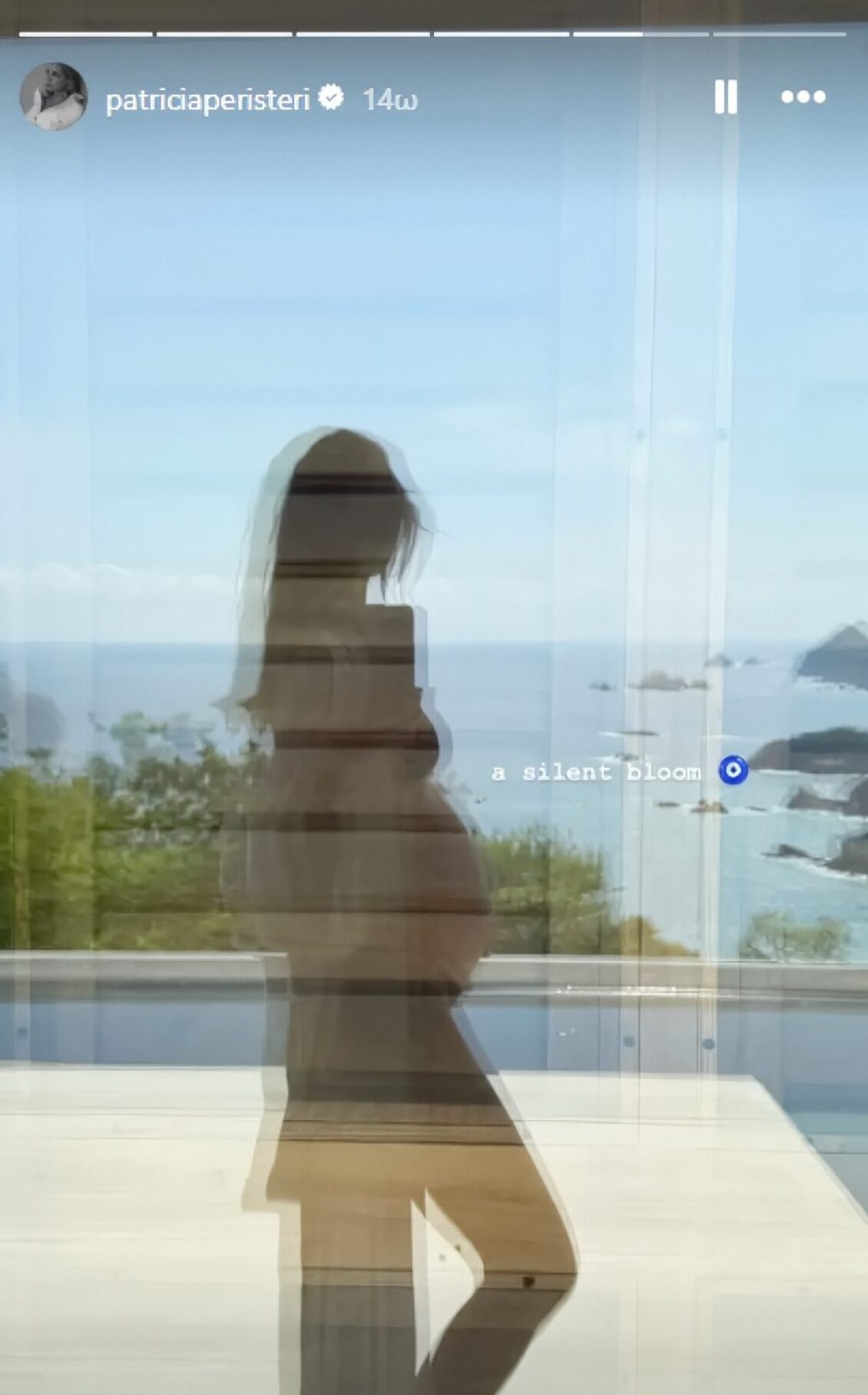 Πατρίτσια Μίλικ-Περιστέρη: Η φωτογραφία που 