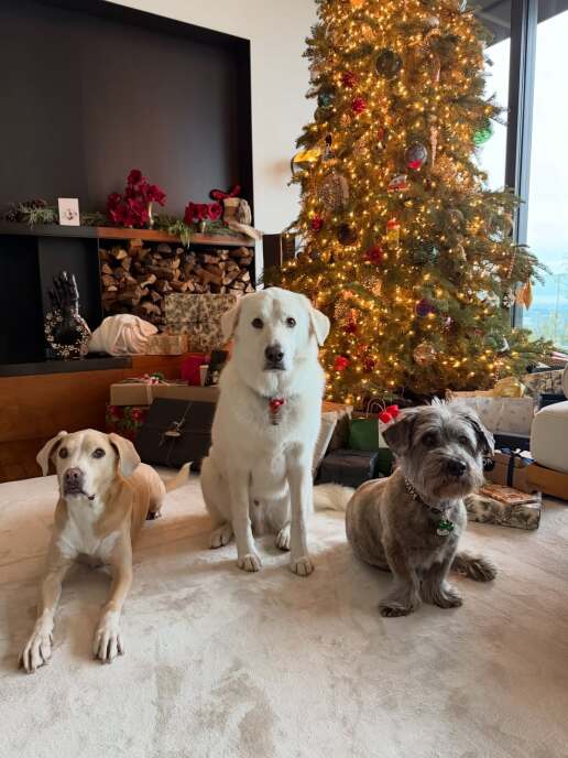 jennifer-aniston-instagram-photos-christmas-2025-7