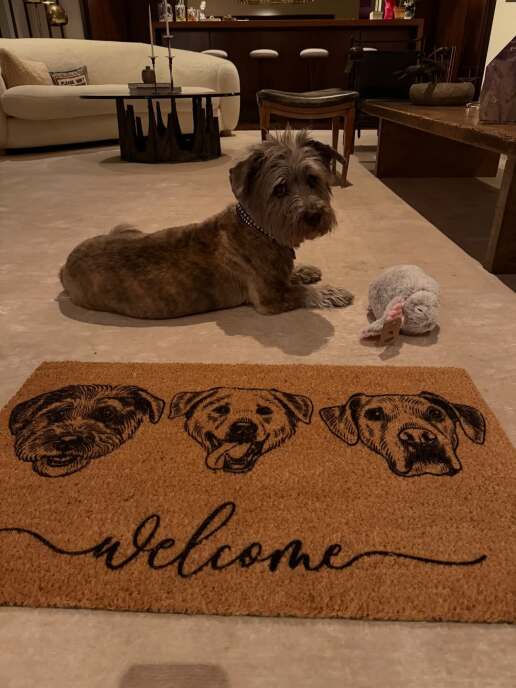 jennifer-aniston-instagram-photos-christmas-2025-9