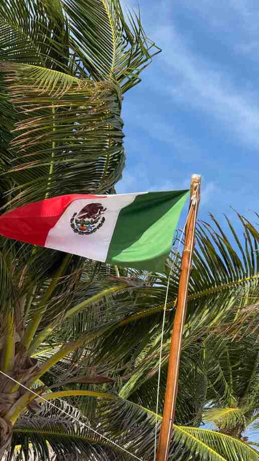 vasalos-vartholomatou-mexico-1