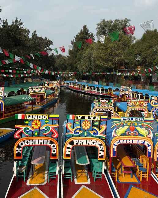 vasalos-vartholomatou-mexico-3