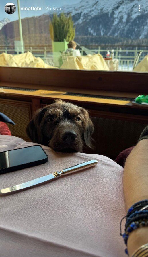 nina-flor-genethlia__3_