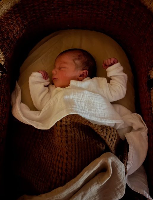 lotusvrijma17700498903823773950912536068575925136_2