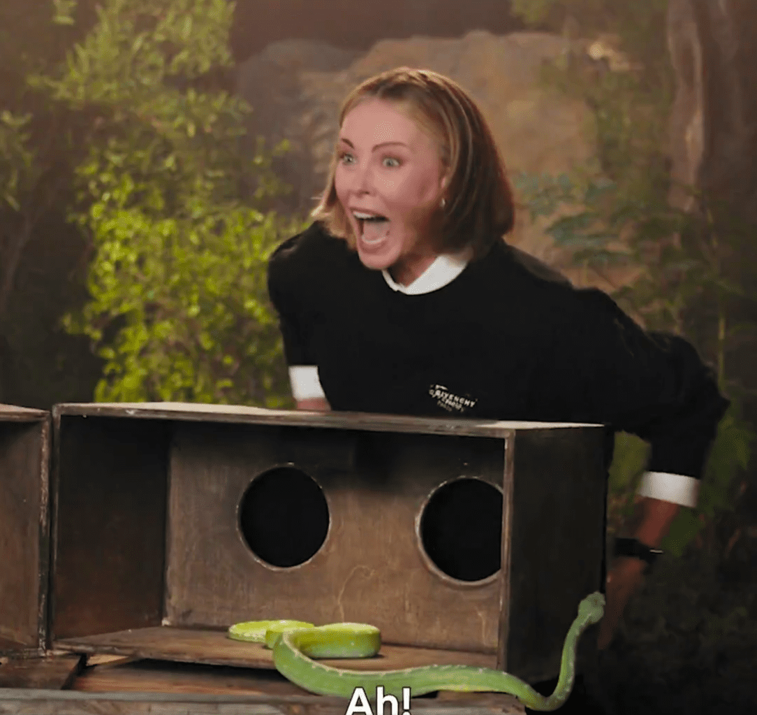 Η Charlize Theron βρέθηκε σε μια απρόσμενα τρομακτική στιγμή, όταν συμμετείχε σε challenge του Netflix και ήρθε αντιμέτωπη με ένα ζωντανό φίδι, προκαλώντας έντονες αντιδράσεις και viral στιγμές.