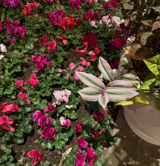 konstantinaspyropoulou1776188177387526936712657368546518104