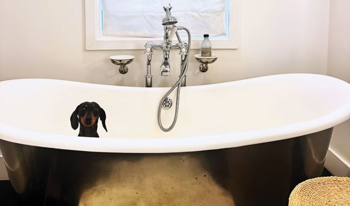 Μαρία Ολυμπία σκυλάκι 