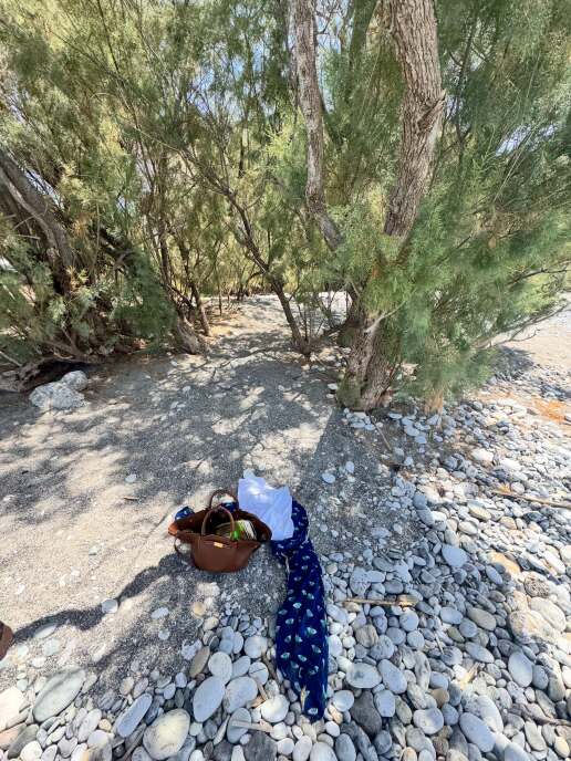 danai-barka-diakopes-mesinia-summer-2026-jule-photos-8