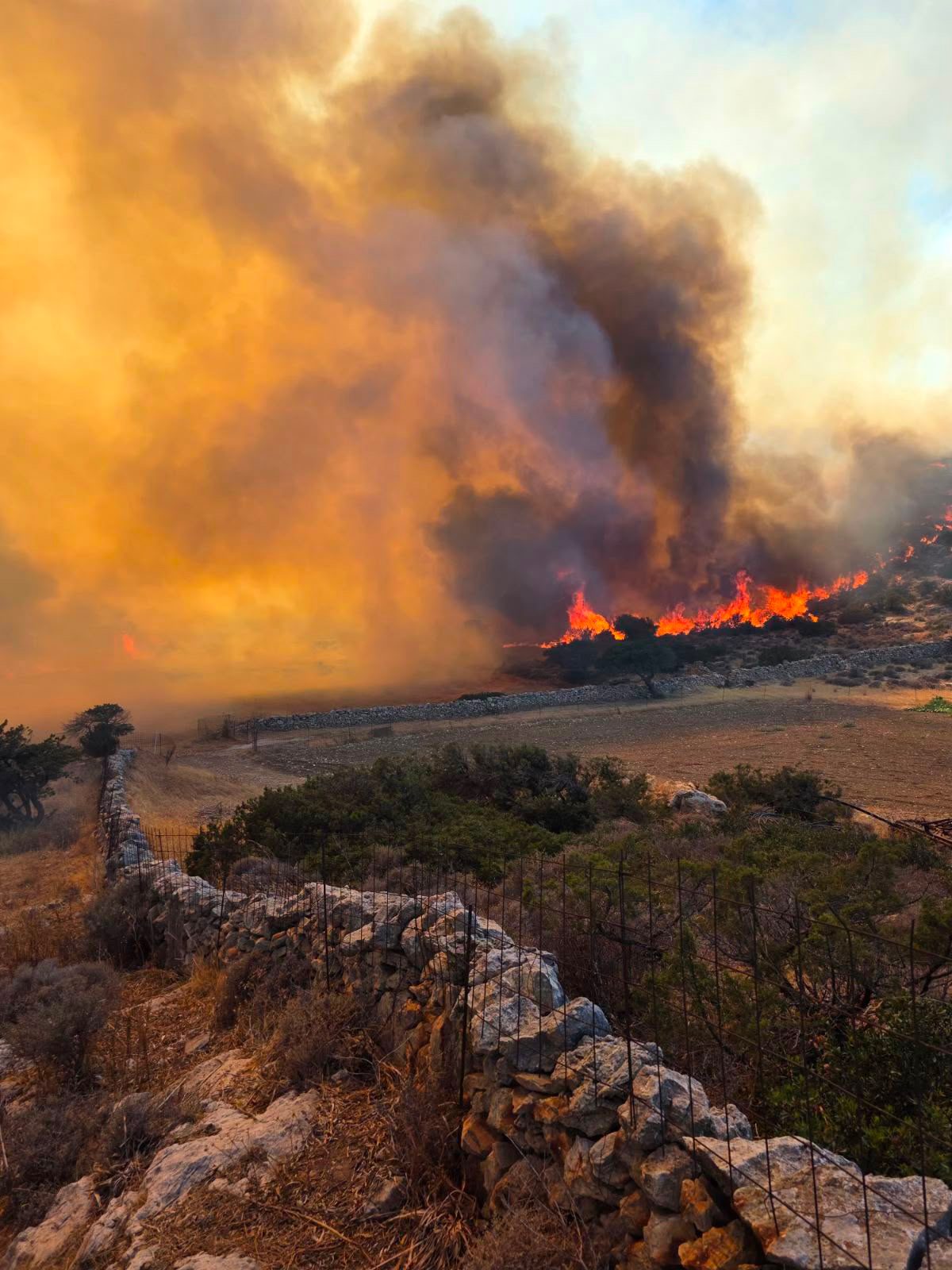Η Άννα Νταλάρα εξέφρασε την οδύνη της για την πυρκαγιά στην Πάρο, συνδέοντας την καταστροφή με την άναρχη δόμηση και την αλλοίωση του νησιού.