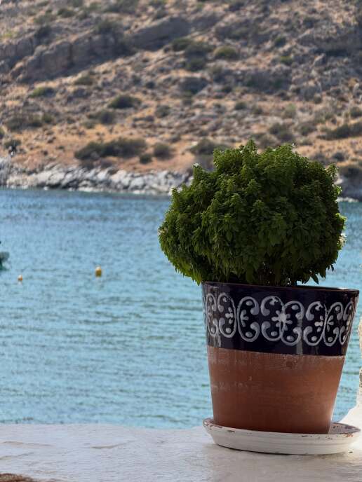 stamatina-tsimtsili-diakopes-paros-island-photos-new-15