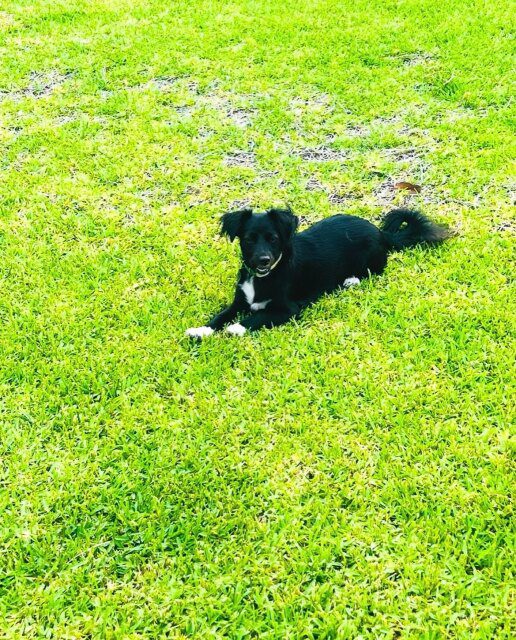 mimi-denisi-diakopes-theologos-photos-2026-11-08-summer-augoust-14