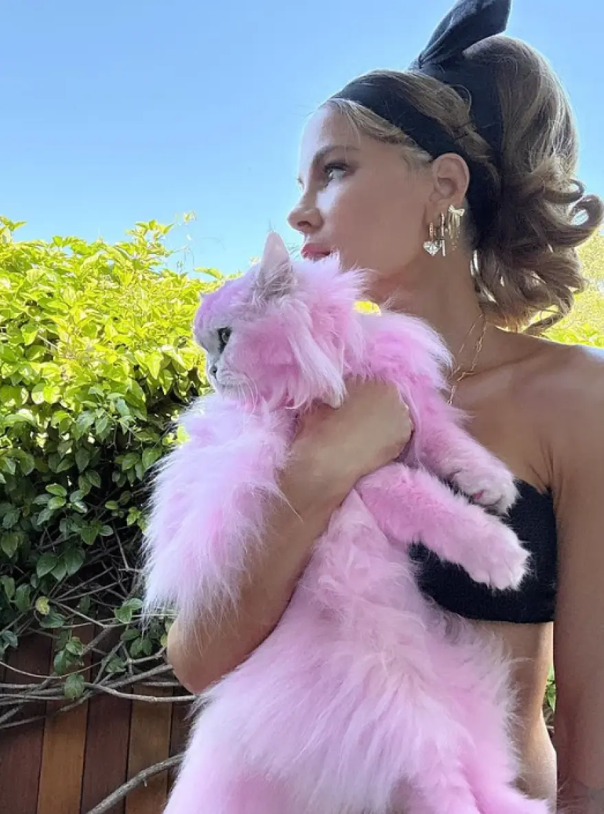 Αντιδράσεις έχει προκαλέσει η Κέιτ Μπέκινσεϊλ μετά από ανάρτηση φωτογραφιών στο Instagram, όπου φαίνεται να κρατά στην αγκαλιά της τη γάτα της, η οποία εμφανίζεται… ροζ.