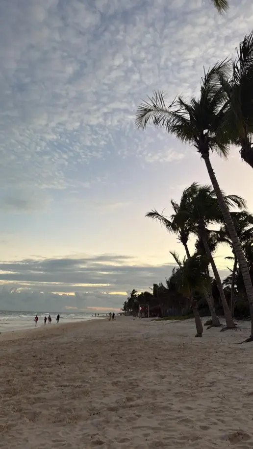 vasalos-vartholomatou-mexico_jpg